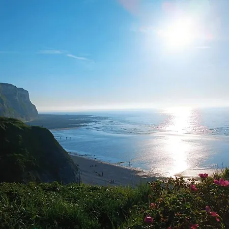 Les Goelands Petit-Caux