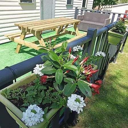 Les Goelands * Petit-Caux